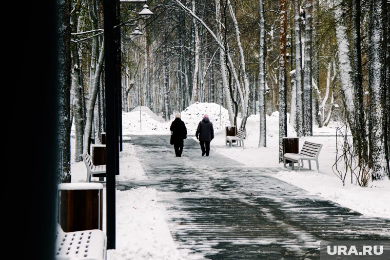 Температура около 0 будет в Екатеринбурге до конца осени