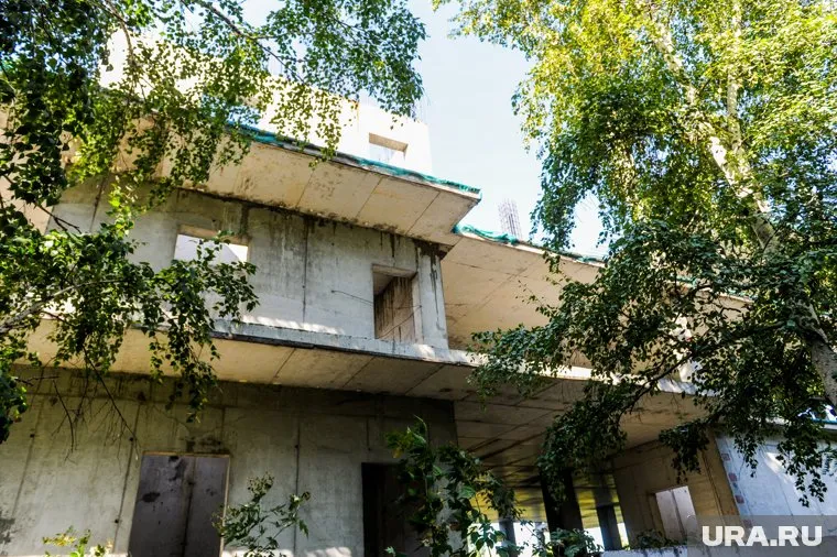 Вокруг недостроя уже выросли деревья