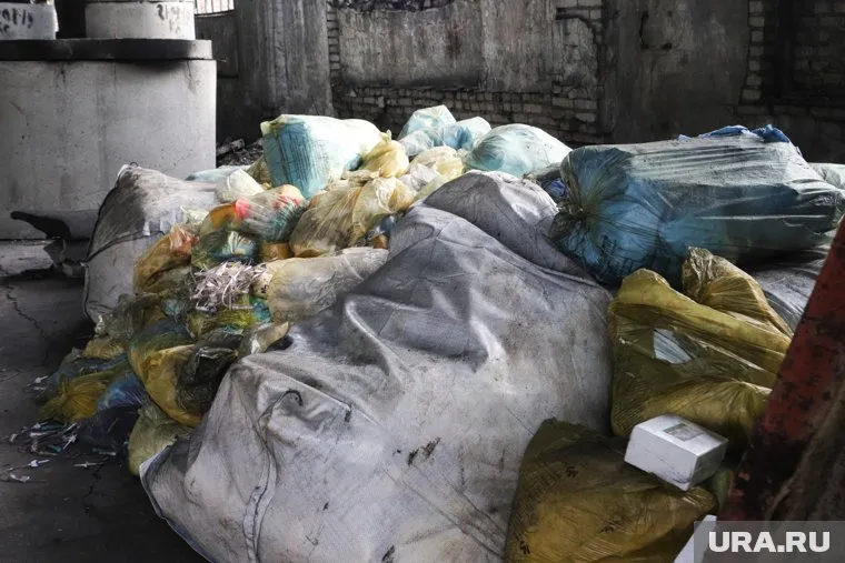 Предприятие Кургана вывезло биомусор после проверки и претензий горожан