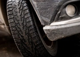 Фотография из галереи