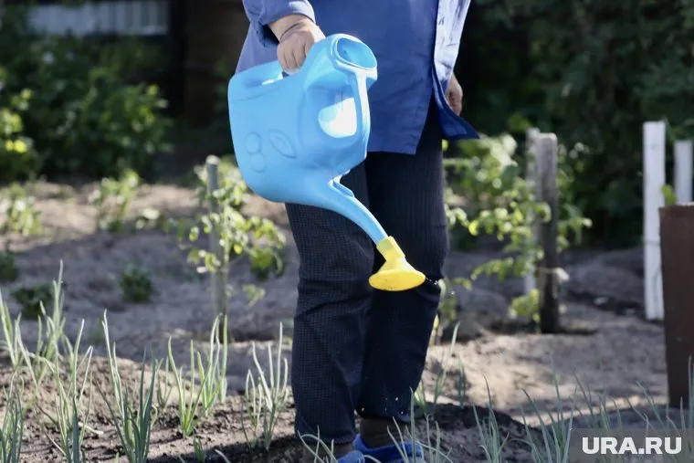 Подросток, спрятавший наркотики на даче родителей, отправится в воспитательную колонию на 6,5 лет