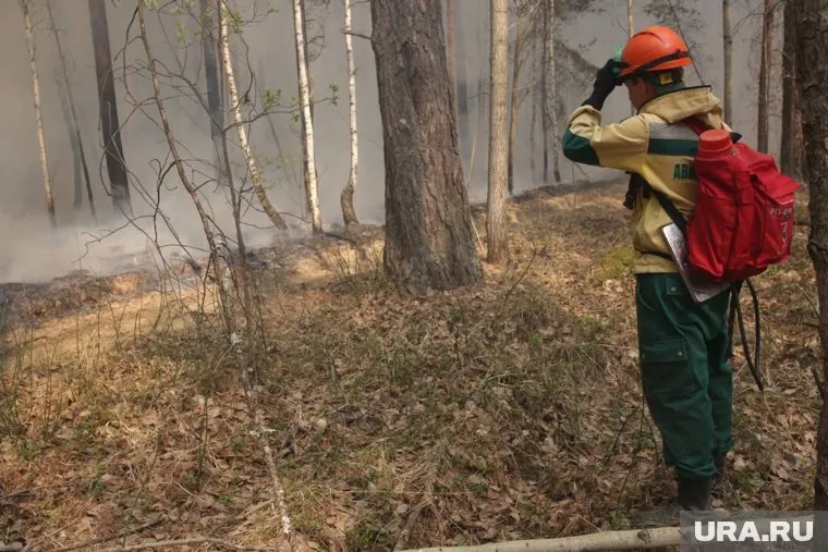 За последние 50 лет температура земли увеличилась на 2-4 градуса, отметил Алексей Кокорин