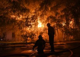 Фотография из галереи