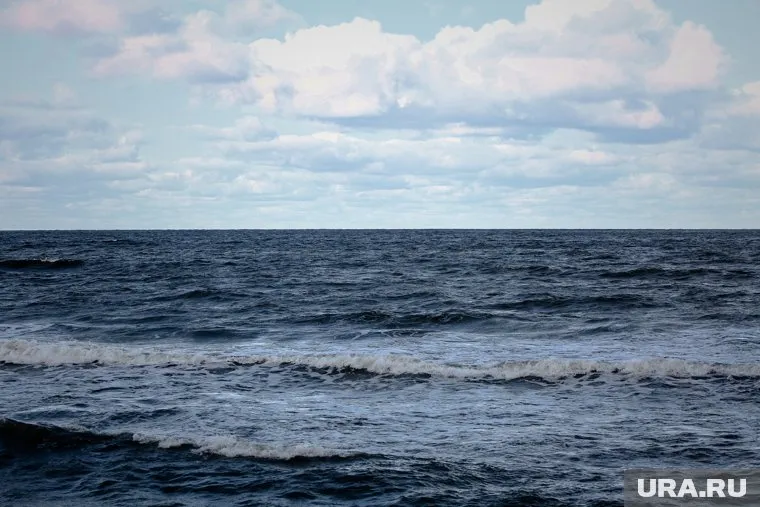 У Фолклендских островов приостановили поиски экипажа Argos Georgia из-за шторма (архивное фото)