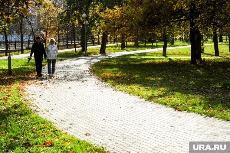 Теплая и сухая погода продлится почти неделю
