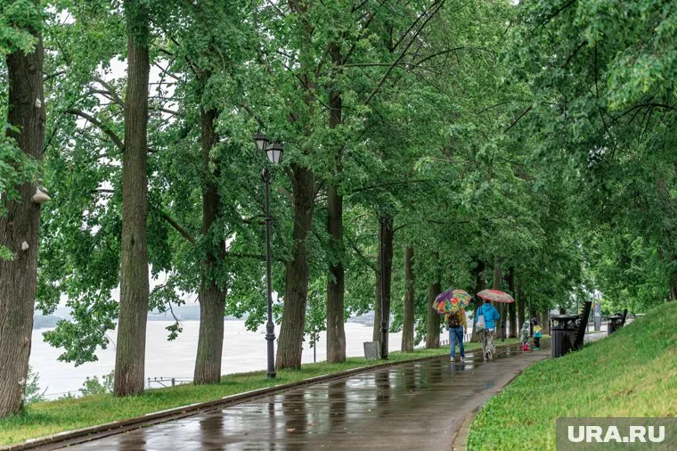 За два дня выпадет свыше 23 мм осадков