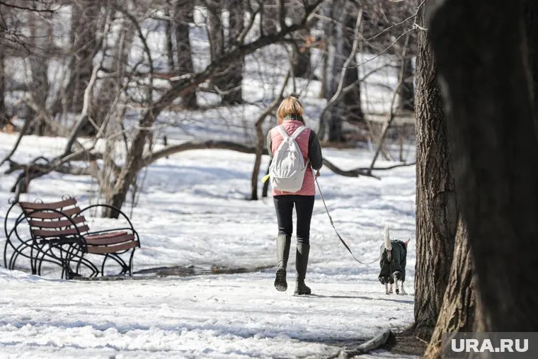 В Кировграде хозяйка стаффорда заплатит пострадавшему мальчику 50 тысяч рублей