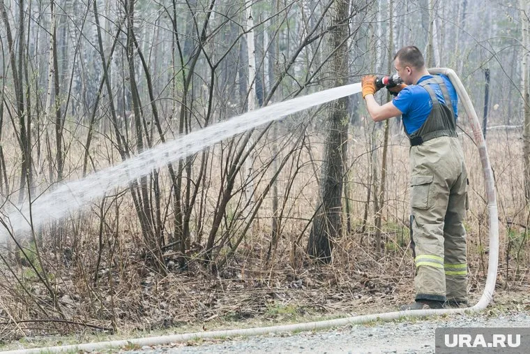 В Целинном округе локализовали лесной пожар