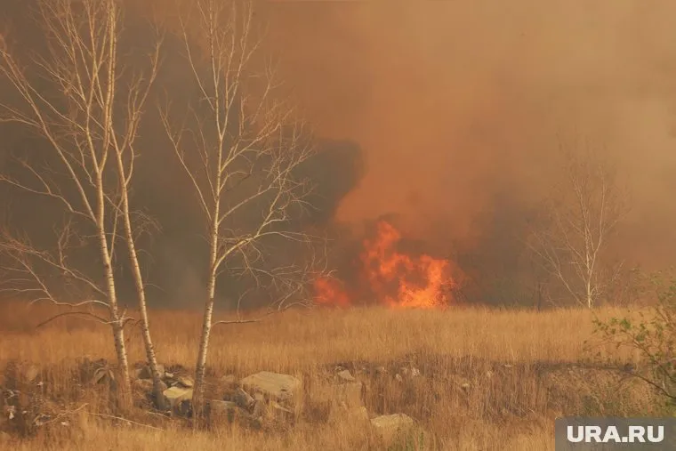 Курганцев попросили сообщать о поджигателях в полицию