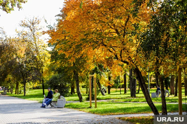 Парк обновят и благоустроят (архивное фото)