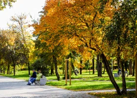 Текслеру представили проект реновации парка в Южноуральске