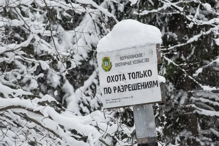 Пресс-тур в лесничество по заготовке новогодних елей. Свердловская область, Первоуральск