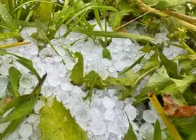 Град размером с виноград выпал в Восточном районе Кургана