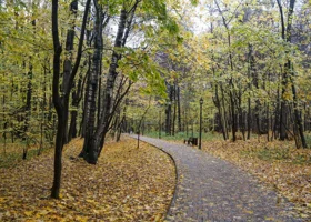 Затяжные осадки придут в Свердловскую область