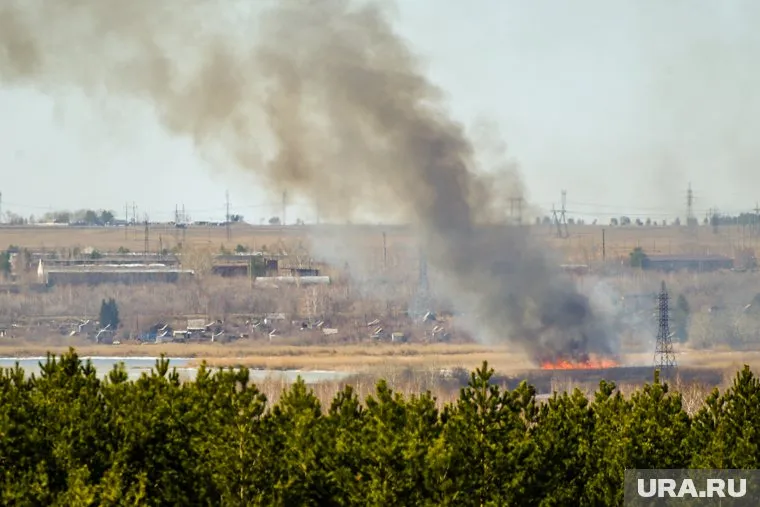 Дымка и гарь от лесных пожаров в Свердловской области дошли до ХМАО