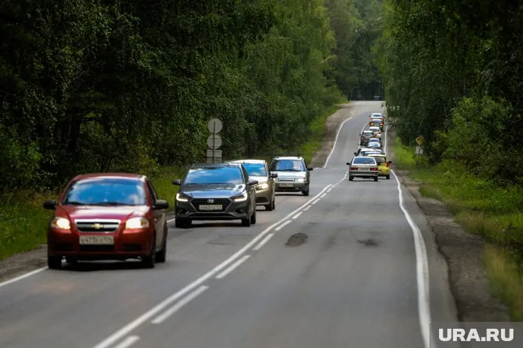 Медвежонок гулял вдоль трассы в Нефтеюганском районе