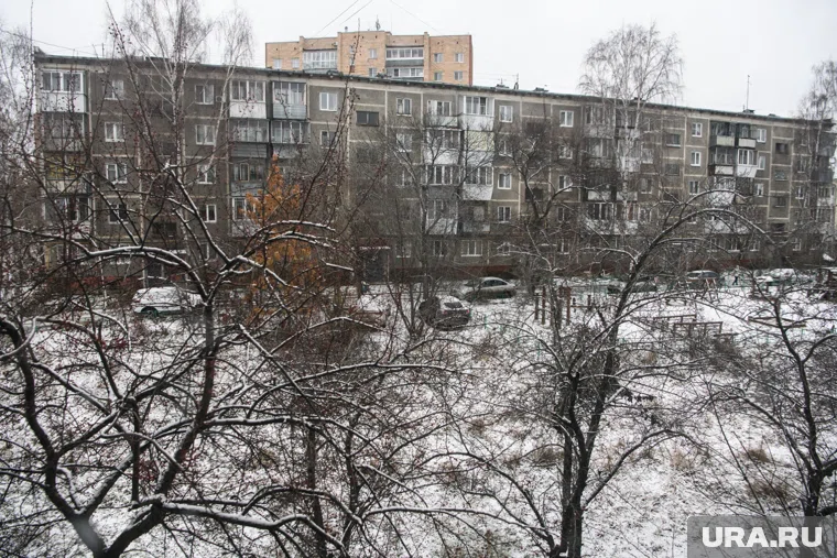 Убийство произошло в доме на улице Бородина, 13