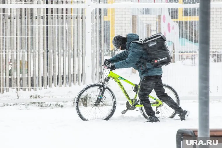 В один из сервисов требуется велокурьер