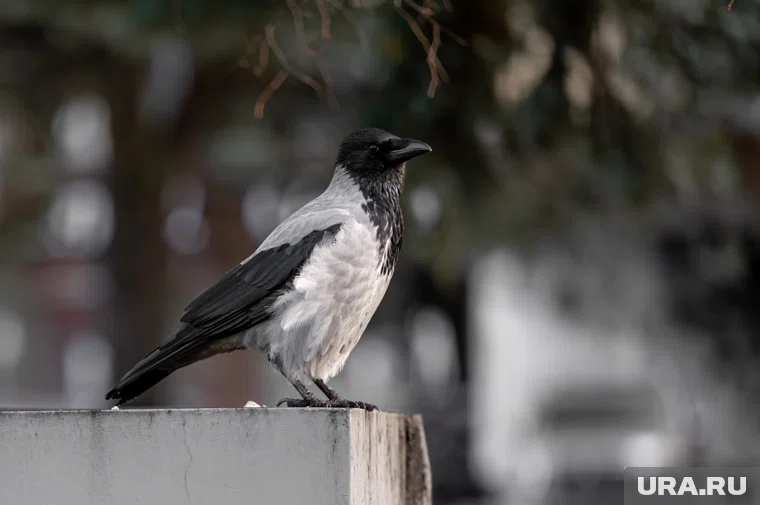 Что можно отметить 3 октября 2025 года