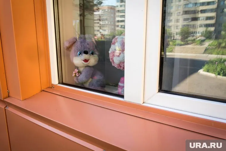 Власти просят родителей ставить на окна специальные замки