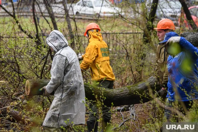 Глава Пуровского района Трапезников помогает прибраться в Тарко-Сале (фото из архива)
