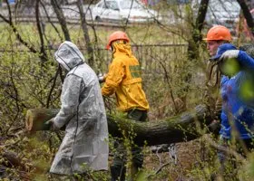 Фотография из галереи