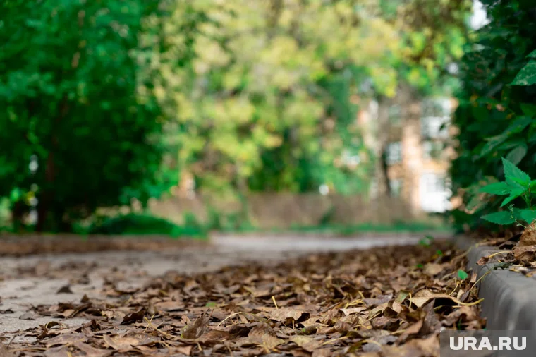 Временный ремонт выбоин на дорогах Оксфордшира регулярно разрушался при первых же заморозках