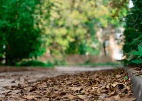 Жителям одной европейской страны пообещали починить дороги через 103 года