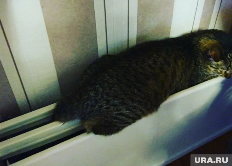 Власти обещают решить проблему в ближайшее время