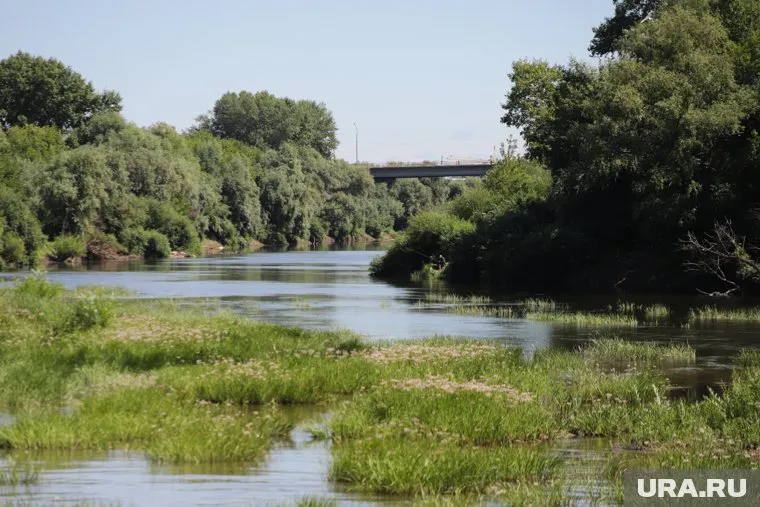 Реки мелеют из-за загрязнения токсическими веществами