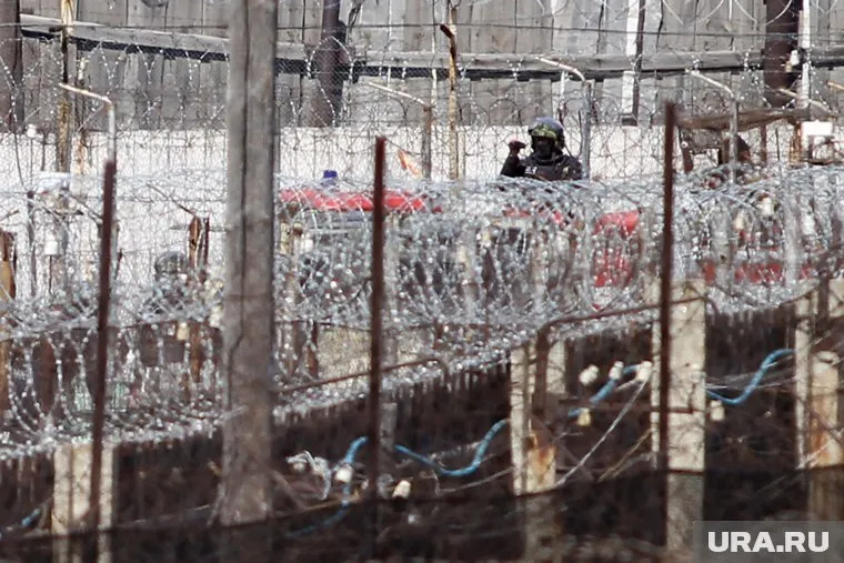 После истечения контракта с ЧВК «Вагнер», в колонии возвращаются лишь 0,38%, сказал Евгений Пригожин