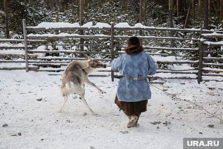 Ейко Сэротэтто будет бороться единороссом Игорем Павлиским за место в гордуме Салехарда