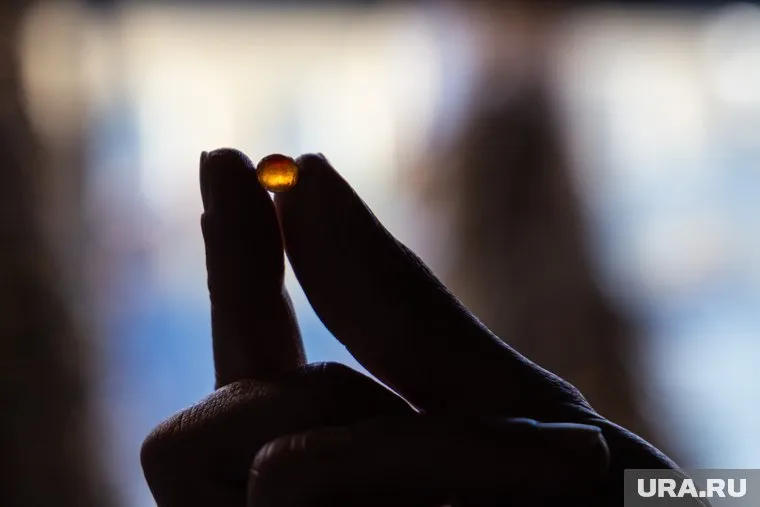 Гурман из ЯНАО заплатит за кражу черной икры