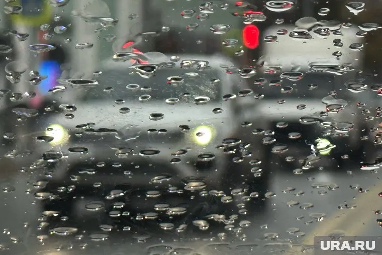 Небольшой дождь прогнозируется в Шадринске 