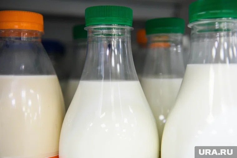 В Курганской области уменьшилось производство молока и яиц за 9 месяцев