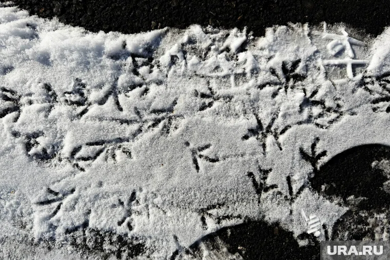 Приметы и поверья 1 ноября