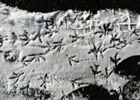 Народные приметы на 1 ноября: как не навлечь беду на Иванов день