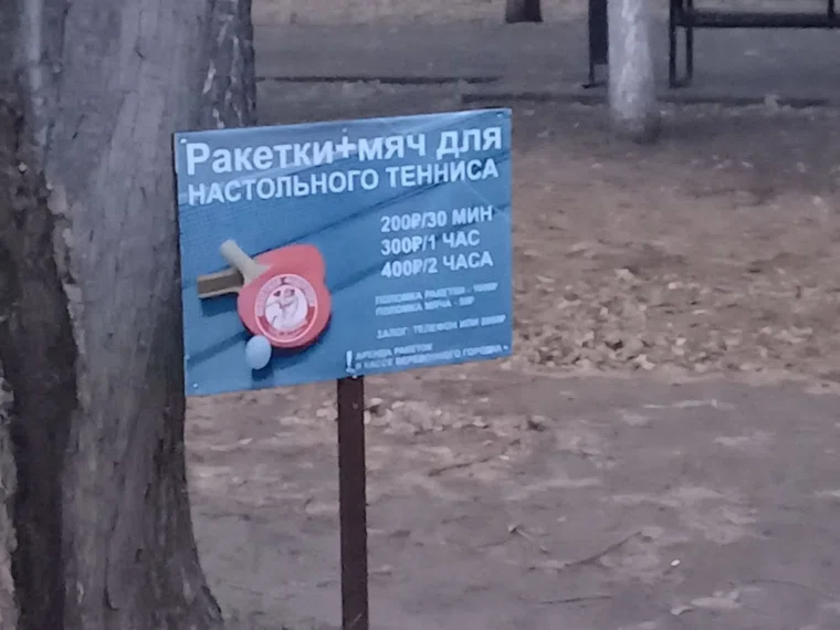 alt-text