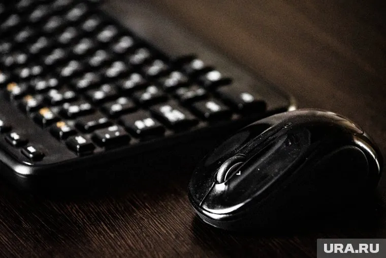 Женщина занималась хищением компьютерной техники