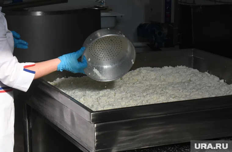 На производстве творога провели проверку