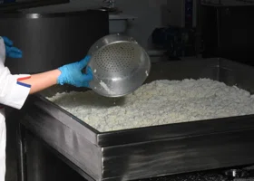 В твороге из Пермского края обнаружили клей