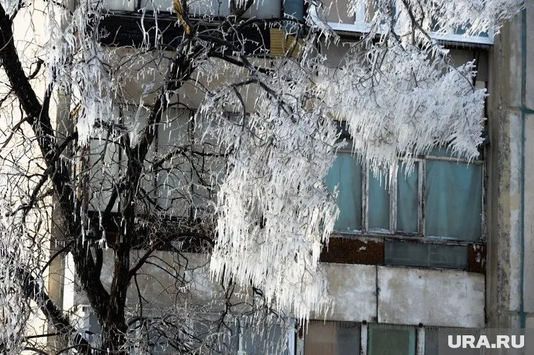 Энергетики не зафиксировали ни одного аварийного отключения из-за холодов