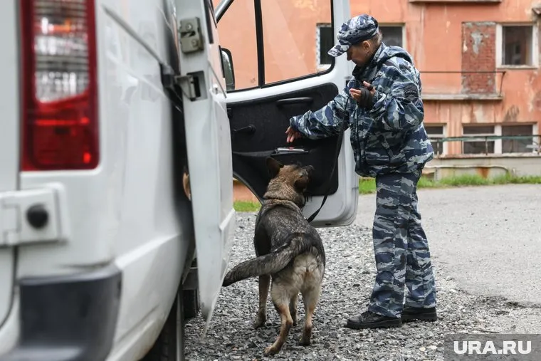 В Новом Уренгое отправился в колонию наркоман