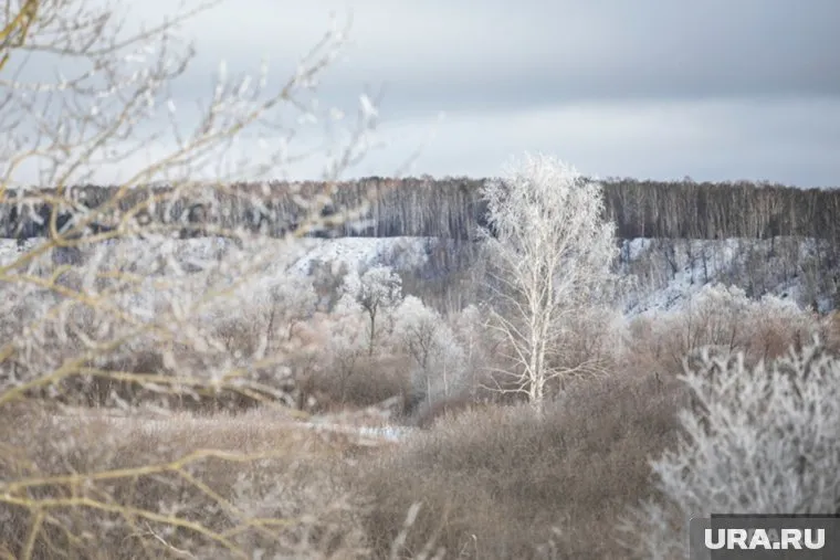 Наиболее холодная погода ожидается на Ямале, где объявили желтый уровень погодной опасности