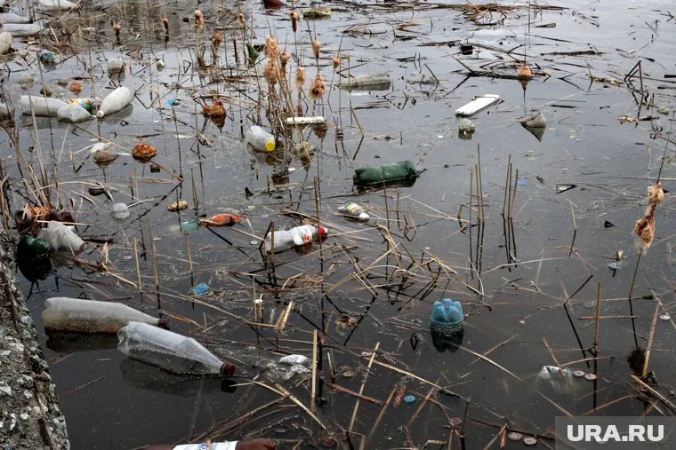 По словам автора поста, в озере опасно купаться