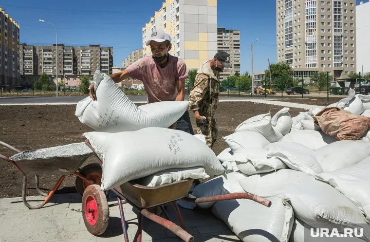 Тысячи мигрантов приехали на работу в Курганскую область