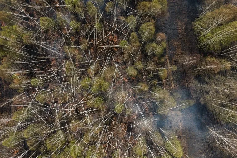 Тушение торфяного пожара возле поселка Безречный. Свердловская область, Березовский