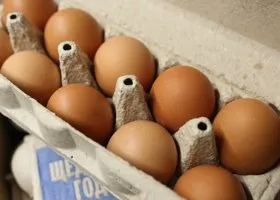 Фотография из галереи