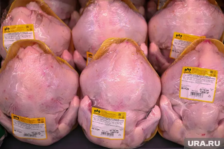 В Челябинской области неправомерно выработали почти 800 кг мяса птицы