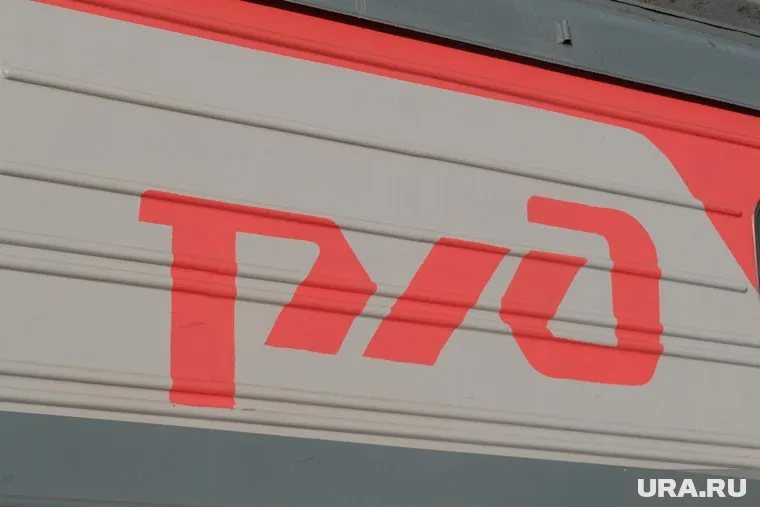 Животные были убиты железнодорожным транспортом